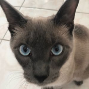 Meet your Posher, Jocelyn